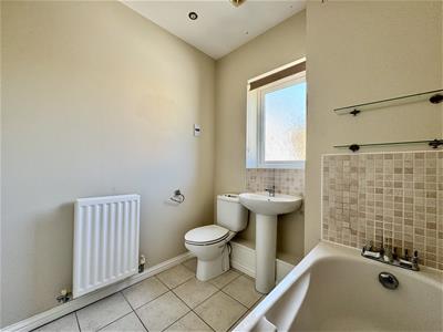 Picture 20